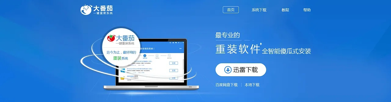 重装系统大师官方下载,快速计划解答设计&PalmOS1_v2.470